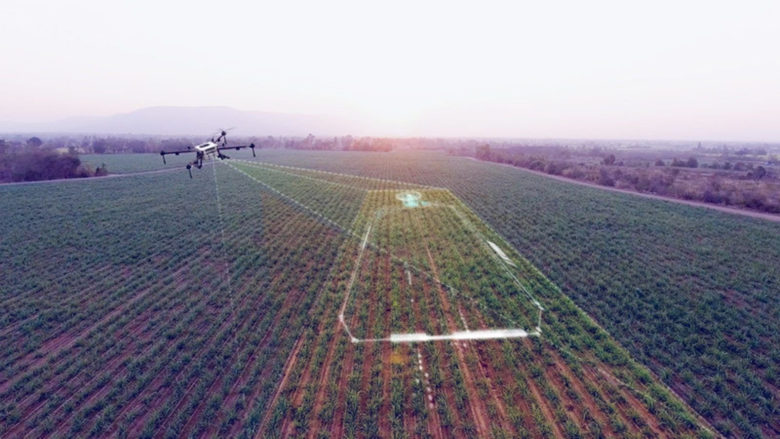 Dron monitoreando un campo agrícola