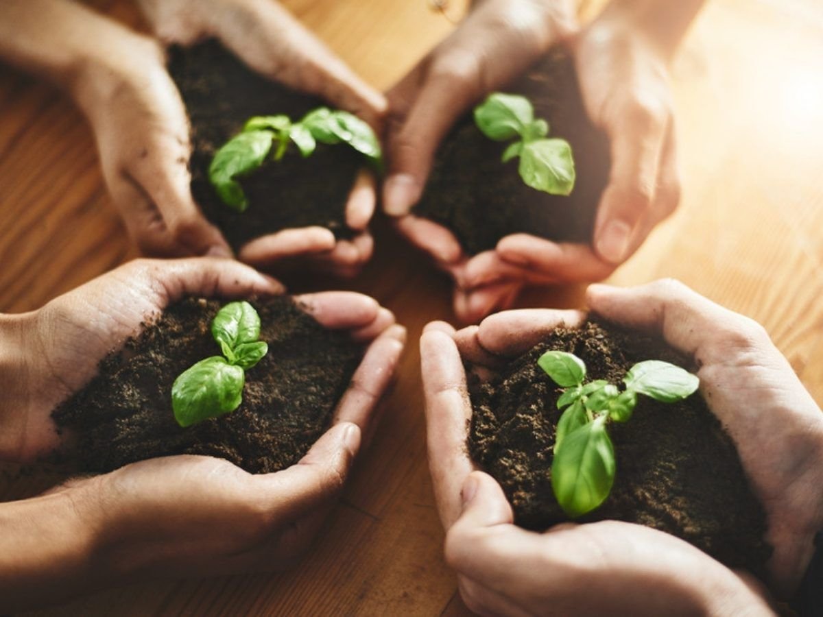 Manos sosteniendo suelo con plantines
